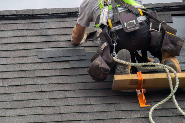 Professional Roofing Contractor in Merriam Woods, MO